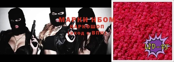 прущие грибы Семилуки