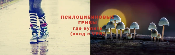 СК Богородск