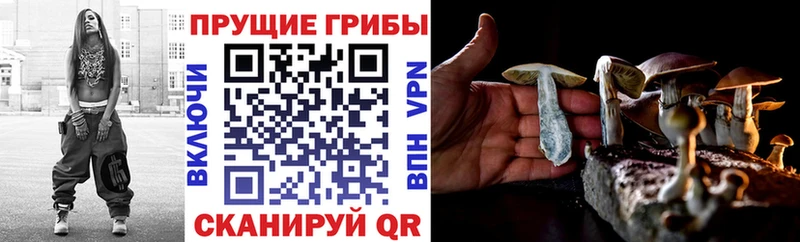 Псилоцибиновые грибы GOLDEN TEACHER Демидов