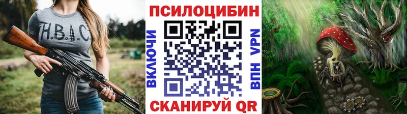 darknet как зайти  магазин продажи наркотиков  Демидов  Галлюциногенные грибы мицелий 